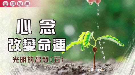 心念的故事|心念改變命運就會改變